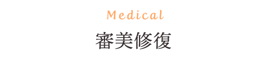 Medical 審美修復