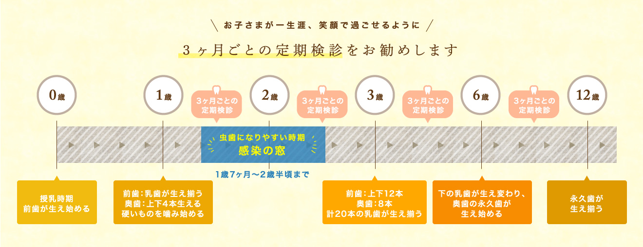 お子さまが一生涯笑顔で過ごせるように、3ヶ月ごとの定期検診をお勧めします