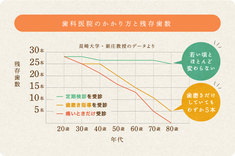 歯科医院のかかり方と残存歯数